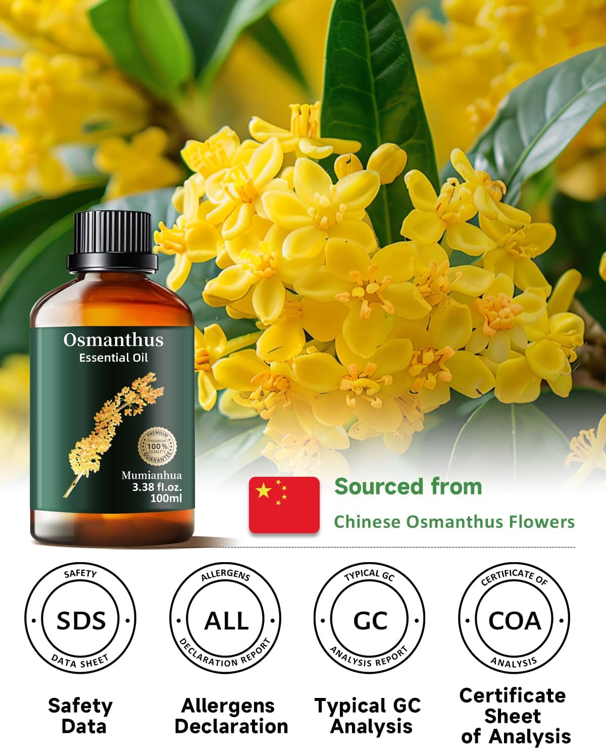 Mumianhua Osmanthus Essential Oil 100% Pure- Floral Essence Osmanthus Oil for Diffuser, Skin Care & Air Purifier | Steam Distilled for Candle Making, Massage Blends & Home Fragrance 3.38 Fl Oz
