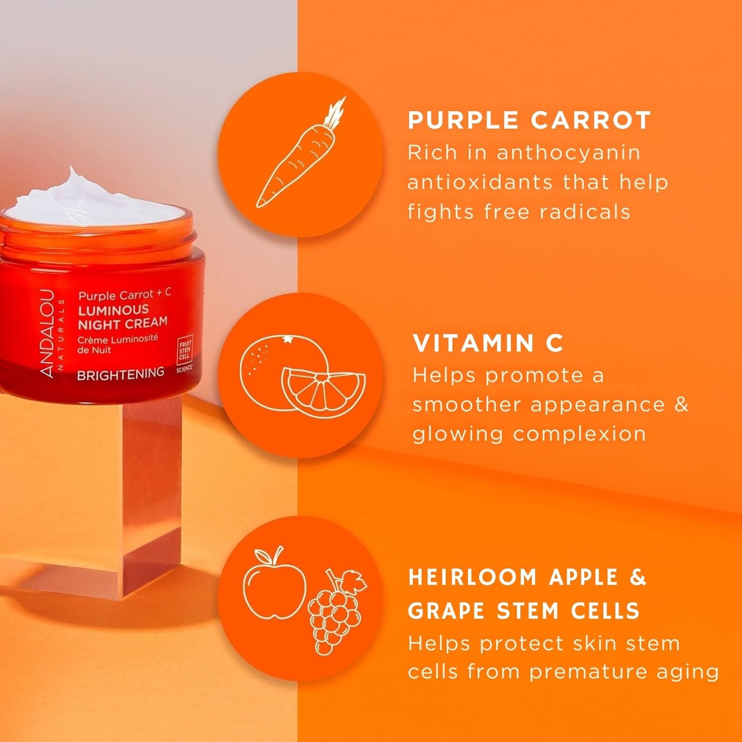 Andalou Naturals Purple Carrot + Vitamin C Luminous Skin Night Cream - Hydrating Face Moisturizer - With Fruit Stem Cell Complex for Radiant Skin - 1.7 fl oz