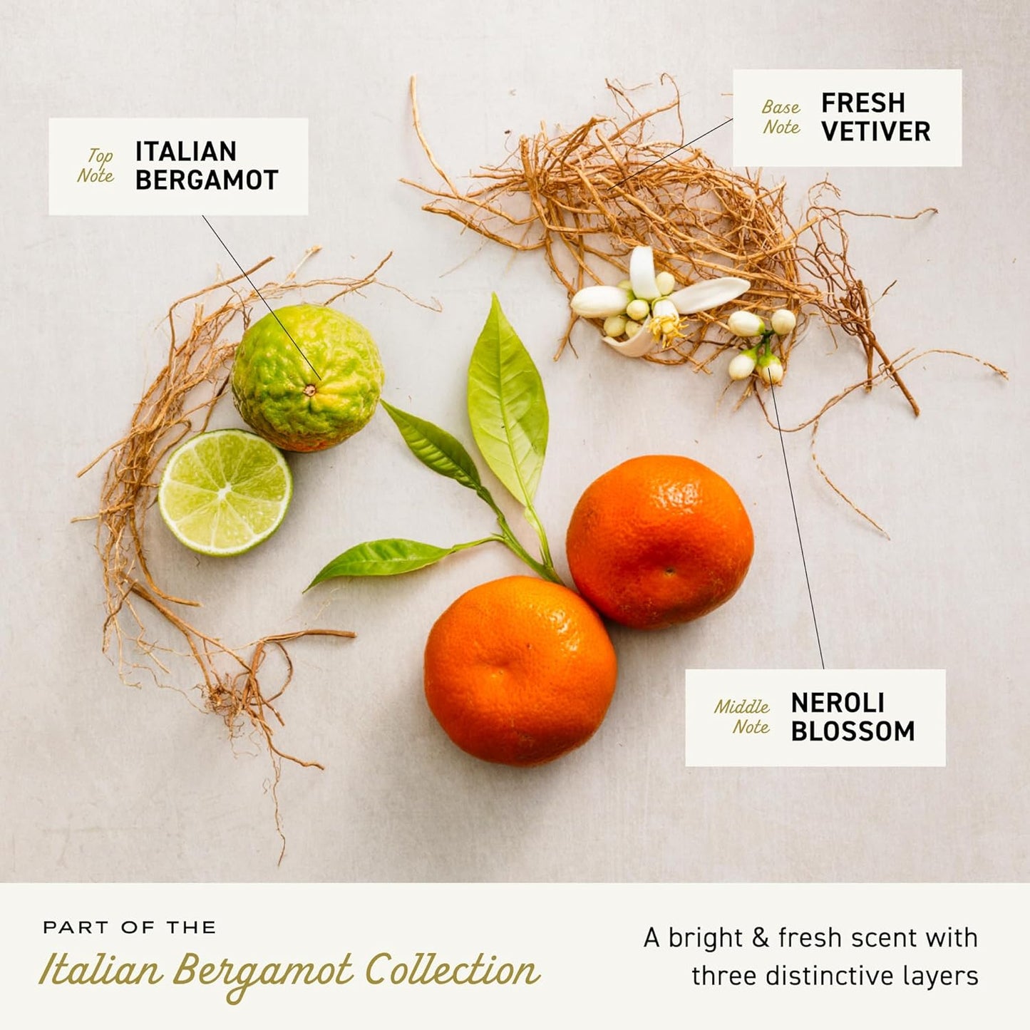 Cremo Rich-Lathering Italian Bergamot Body Wash for Men, Notes of Italian Bergamot, Neroli Blossom, and Fresh Vetiver, 32 Fl Oz