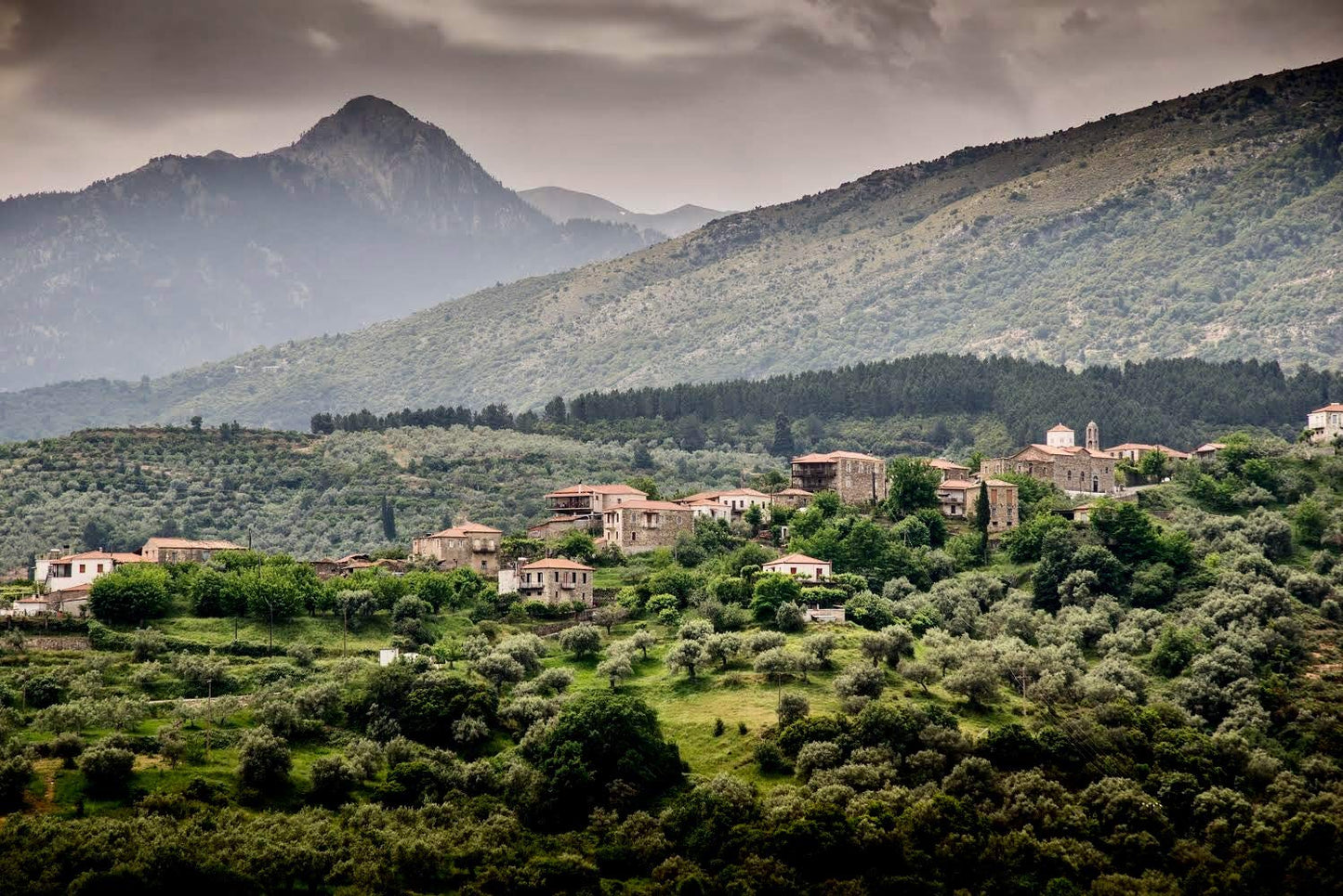 Ancient Foods Keros Greek Organic Extra Virgin Olive Oil โ Cold Pressed Olive Oil from Greece, High Phenolic Organic Olive Oil from 1000 Year Old Trees (101oz, 3L)