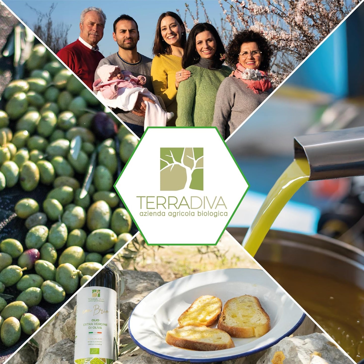 WellEatable Ultra High +1,500 mg/kg Polyphenol Rich Olive Oil, 2025 NYIOOC Gold, Early Harvest, Organic Extra Virgin Olive Oil from Italy, Lab Tested, Cold Extracted for Phenolic Shot, 16.9 fl oz