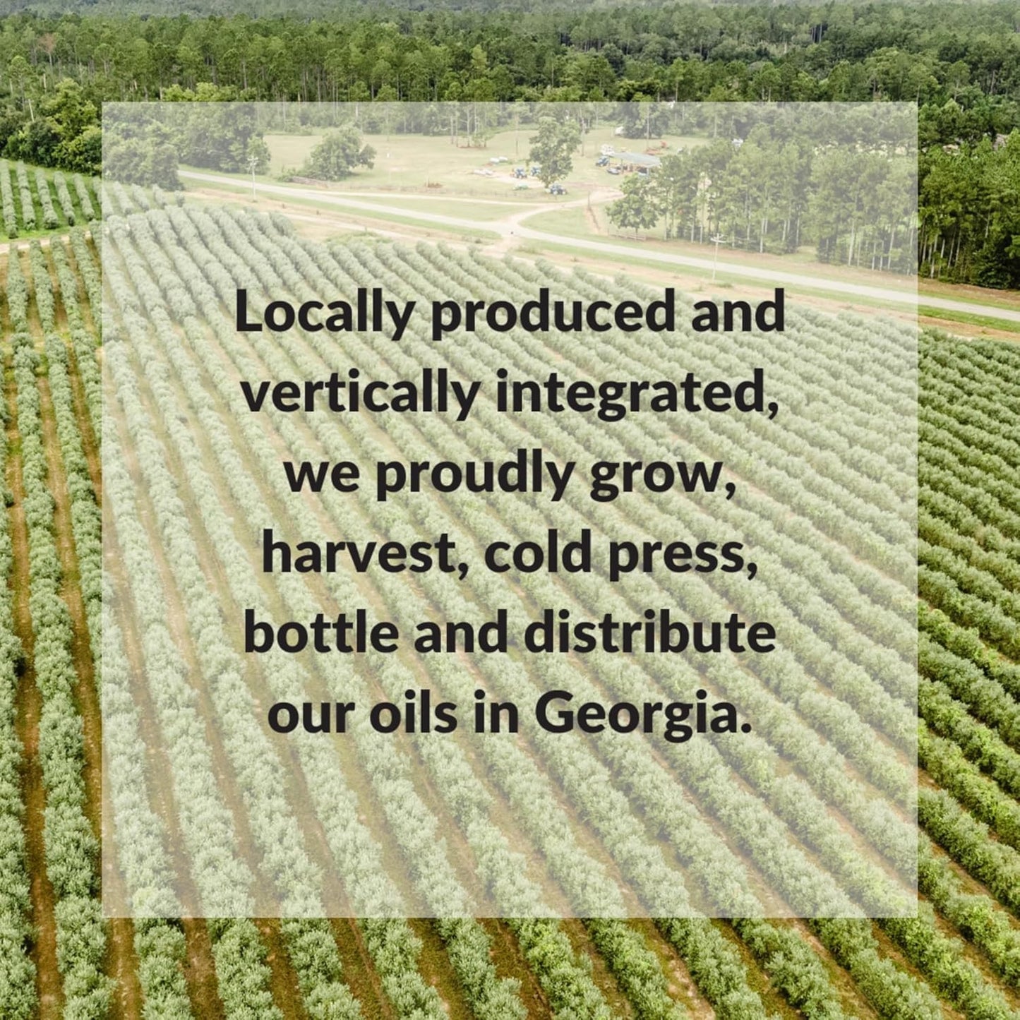 Fresh Press Farms Cold Pressed Extra Virgin Sunflower Oil, 16.4 Fl Oz (Pack of 2), High Oleic, Georgia Grown, 100% American Made, Unrefined, Certified Whole30, Non-GMO, Keto, Paleo, Gluten Free