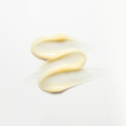 CNP Propolis Eye Cream (1.7 fl.oz / 50ml) - Nourishing Eye Cream with Propolis Extract, Ceramide, Lightweight Cream Texture, Firming Wrinkles, Korean Skin Care