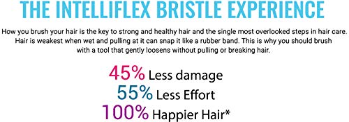 Wet Brush Original Princess Guiding