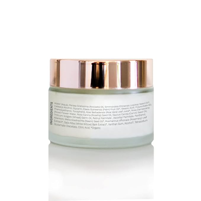 Antioxidant Moisturizing Night Cream with