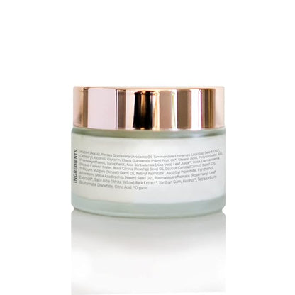 Antioxidant Moisturizing Night Cream with