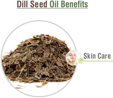 Crysalis Dill Seed (Anethum Graveolens) Oil - 1.01 Fl Oz (30ml)