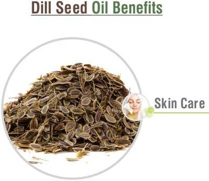 Crysalis Dill Seed (Anethum Graveolens) Oil - 1.01 Fl Oz (30ml)