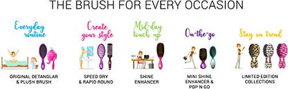 Wet Brush Original Princess Guiding