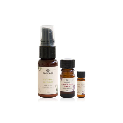 Annmarie Skin Care Clean Beauty Kit