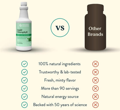 Nature's Sunshine Liquid Chlorophyll - Immunity Support, Detox & Cleanse, Chlorophyll Liquid Drops with Spearmint Oil, Natural Energy Boost, Internal Deodorant - 16 Fl Oz