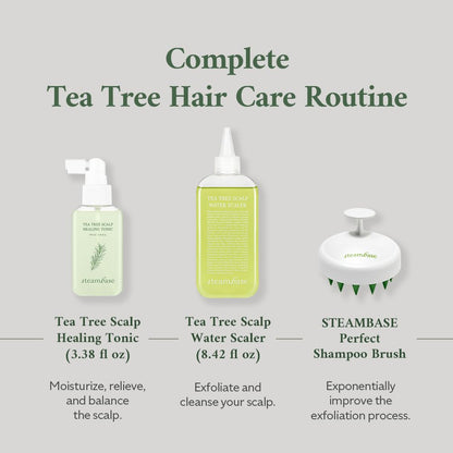 Tea Tree Scalp Healing Tonic | Relieve Dry, Itchy, and Oily Skin | Hydrating and Nourishing Serum Oil Moisturizer for Calming Scalp | Korean Hair Care Products, 3.38 fl oz