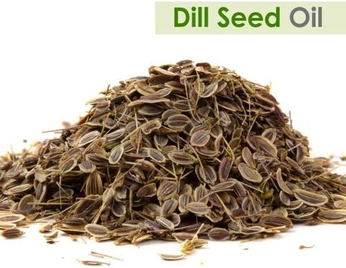 Crysalis Dill Seed (Anethum Graveolens) Oil - 1.01 Fl Oz (30ml)