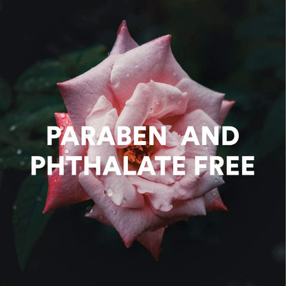 Camille Beckman Hand and Body Duet Set, Silky Body and Glycerine Hand Cream, Glycerine Rosewater