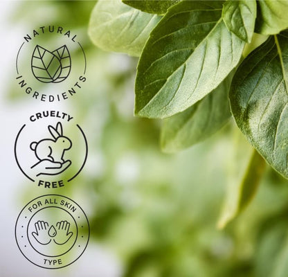 16 fl oz - Basil Essential Oil (100% Pure & Uncut), Aluminum Bottle - GreenHealth