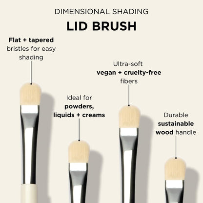 HALEYS Lid Eyeshadow Brush, Medium Flat Tapered Brush, Easy Blending and Shading for Building Eyeshadow Color, High-end Synthetic Bristles, Multi-tasking, for Cream and Powder Makeup, Vegan + CF