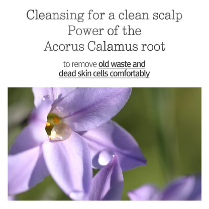 PYUNKANG YUL Hair&Body Travel Kit | Shampoo, Conditioner, Body Wash, Lotion, Spa Kit, 4 items | Low pH, Moisturizing, Soothing, Refreshing, Fragrance Free | Korean Skin Care | 3.38 Fl.Oz. x 4ea