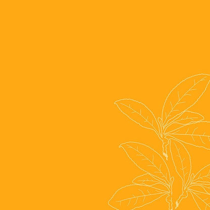 SheaMoisture Weightless Hydrating Detangler For