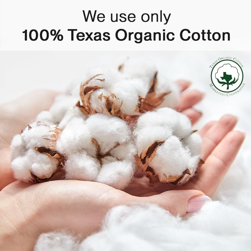 SANDIS Premium 100% Organic Panty Liners - Chemical Free Cotton Ultra Thin Liner for Women | Feminine Sanitary Napkins Unscented Everyday Use Leak Protection (Regular, 36 Count, Wrapped)