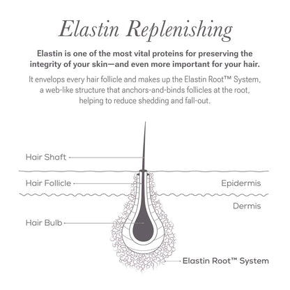 NULASTIN Shape Altering Eyebrow Serum - Brow Serum to Shape & Define - Improves the Appearance of Sparse Eyebrows for a Fuller Look - Enriched with Hair-Strengthening Ingredients (0.1 Fl Oz)