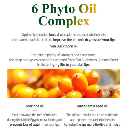 PETITFEE Sleeping Lip Mask Sea Buckthorn Oil 0.53 Oz. | Day & Night Lip Balm, Overnight Lip Mask, Lip Treatment for Dry & Crack Lips, Deep Moisturizing with Vitamin E, Shea Butter, 6 Phyto Oil Complex