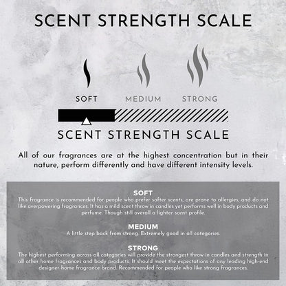 Stone Candles Environment Inspired by 5-Star Hotels RC Room Spray, 100ml Air Freshener (Marine | Bergamot | Jasmine) Home Fragrance Accessories, Room Perfume, Room Deodorizer, Vegan & Cruelty-Free