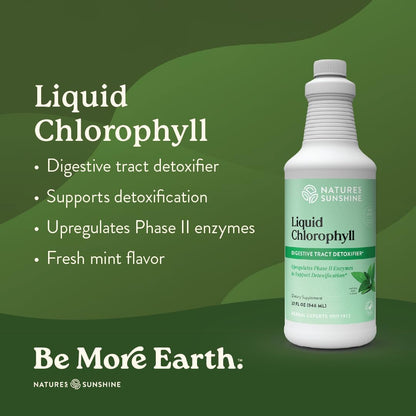 Nature's Sunshine Liquid Chlorophyll - Immunity Support, Detox & Cleanse, Chlorophyll Liquid Drops with Spearmint Oil, Natural Energy Boost, Internal Deodorant - 16 Fl Oz