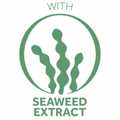 Pond's Crema S Nourishing Face Moisturizer for Women, Skin Care Facial Moisturizer Cream for Dry to Very Dry Skin, Nourishes for up to 24 hours 14.1 oz (Pack of 2)