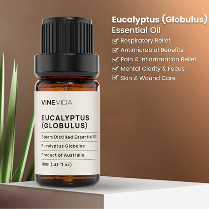 VINEVIDA Eucalyptus Essential Oil - 10 mL Undiluted - DIY Candle Scents - Safe for Skin