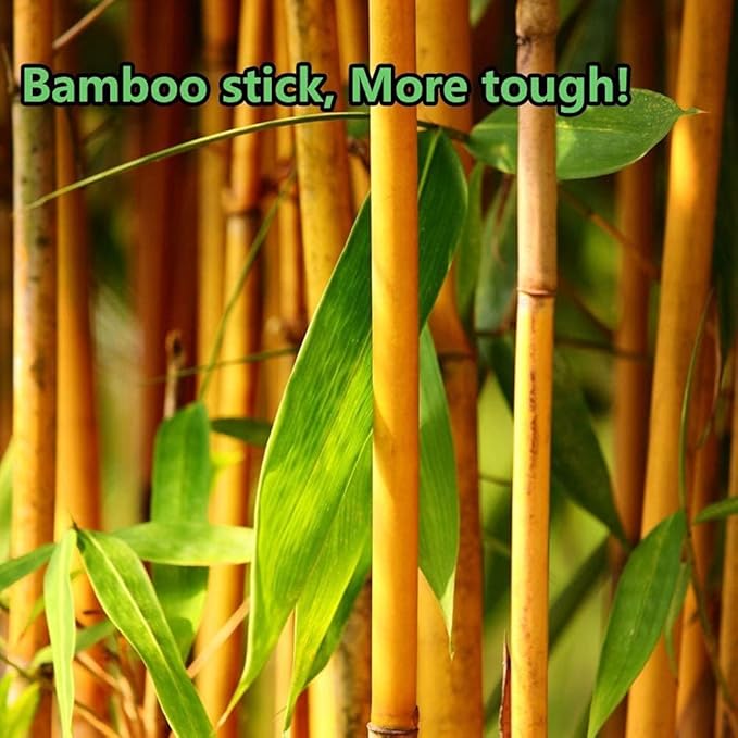 2000pcs precision tip cotton swabs