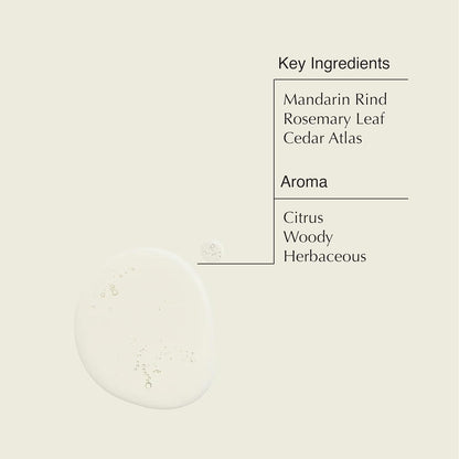 Aesop Resurrection Aromatique Hand Wash | Gentle Cleanser with Orange, Rosemary and Lavender Oils | 500mL / 16.9 oz