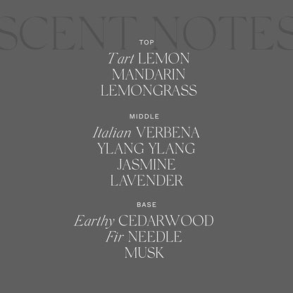 Antica Farmacista Acrylic Bath & Body Gift Set - Includes Body Wash, Body Moisturizer & Acrylic Tray - Bath & Body Gift Set for Women - Lemon Verbena & Cedar