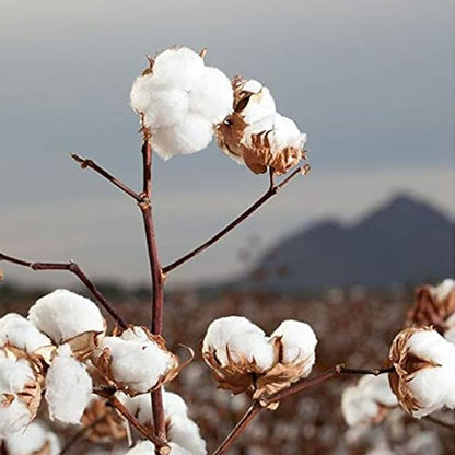 Organyc 100% organic cotton rounds