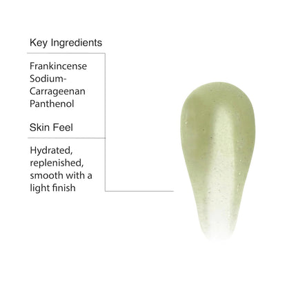 Aesop Geranium Leaf Body Cleanser + Scrub | 16.9 oz + 6.2 oz