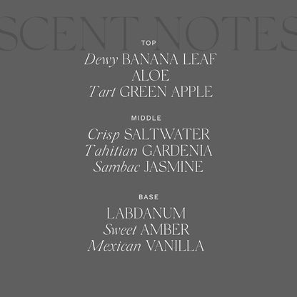 Antica Farmacista Body Moisturizer - Moisturizing Scented Lotion - Premium Body Moisturizer - Luxury Gift for Women & Men - Hand & Skin Hydration - Lush Palm, 10 Fl Oz