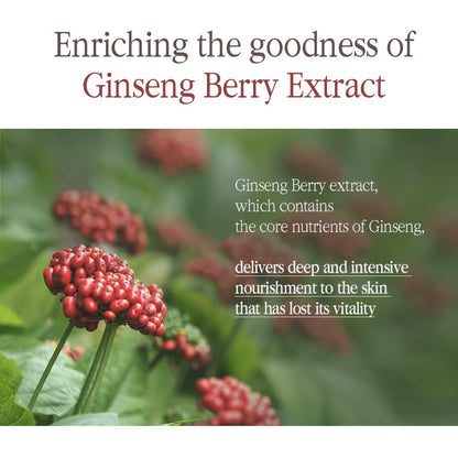 Pyunkang Yul PKY Black Tea Boosting Serum for Anti-aging, Condensed Nutrition for Fine Line Care with Kombucha, Ginseng Fruit Extract, Zero-Irritation, Korean Skincare (1.52 Fl. Oz, 45ml)