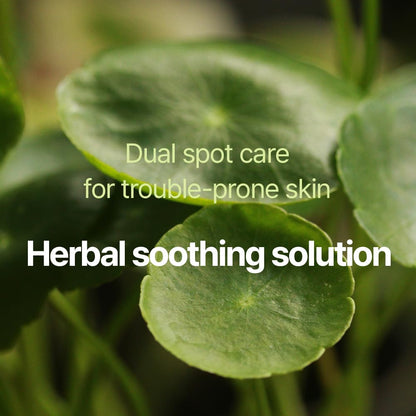 Pyunkang Yul PKY Calming Clear Spot Patch (Intensive Care)165 count Ultimate Hydrocolloid Acne Spot, Pimple, Blemishes & Zit Covering, 2 Sized Adhesive Equal Skin Care, Korean Skin Care