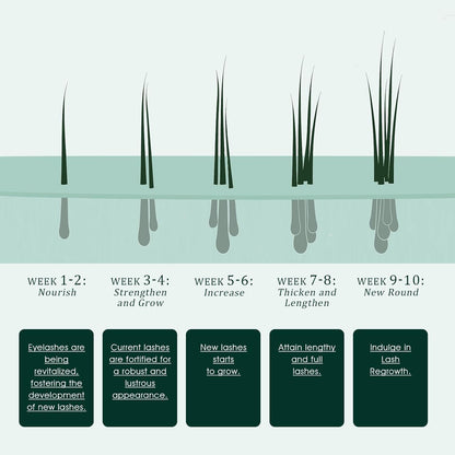 Eyelash Growth Serum: Promotes natural lash growth for longer, thicker, and stronger lashes while nourishing lash health. Vegan, cruelty-free & gentle on sensitive eyes. 3mL (2-month supply)