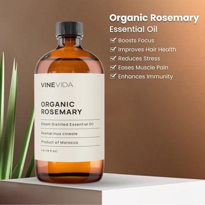 VINEVIDA Rosemary Essential Oil - 16 oz, Organic, Undiluted - DIY Candle Scents & Soap Making