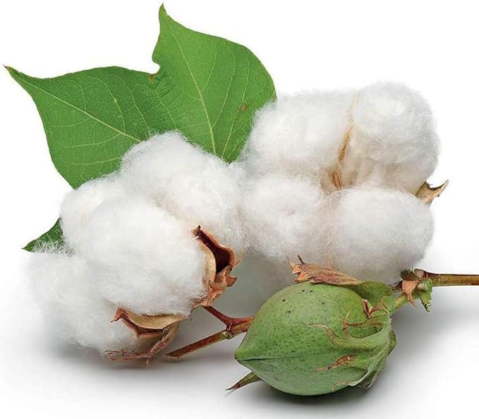 6" long cotton swabs 1400pcs