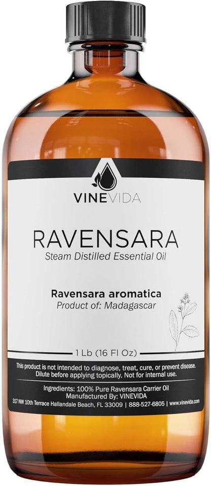 VINEVIDA Ravensara Essential Oil 16 oz - Undiluted Ravensara Oil 16 oz - Ravensara Candle Oil Scent - DIY Candle Scents for Candlemaking - Bulk Essential Oil for Soap Making Safe for Skin
