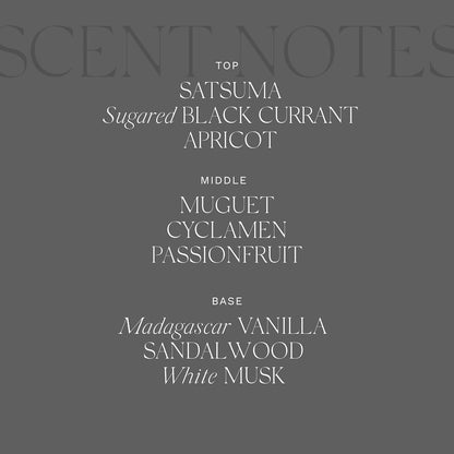 Antica Farmacista Acrylic Bath & Body Gift Set - Includes Body Wash, Body Moisturizer & Acrylic Tray - Bath & Body Gift Set for Women - Prosecco