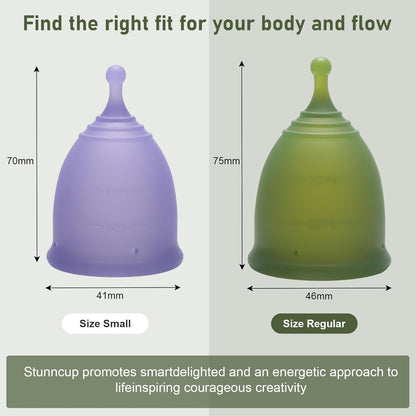 Menstrual Cups Steamer Kit with 2 Reusable Period Cup (Regular & Small) 3 Mins Quick Clean, Automatic Timing, Compact Travel Design for Menstrual Cup & Disc