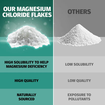 Coach Soak Magnesium Bath Soak Bundle - Bath Flakes with Peppermint & Vitamin C, Oil Spray & Cooling Lotion with MSM - (3 Pack) - Cooling Peppermint