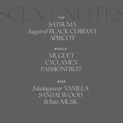 Antica Farmacista Body Moisturizer - Moisturizing Scented Lotion - Premium Body Moisturizer - Luxury Gift for Women & Men - Hand & Skin Hydration - Prosecco, 10 Fl Oz