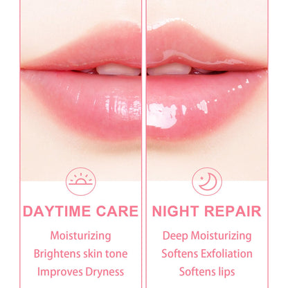 3 PCS Bee Lip Balm Lip Mask Honey Pot, Watermelon & Cherry & Coconut Lip Mask Propolis Moisturizing Lip, Hydrating Prevention Dry and Cracked Lip Scrubs Exfoliator (Watermelon & Cherry & Coconut)