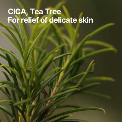 Pyunkang Yul PKY Calming Toner Pad with Tea Tree, 5 Hyaluronic Acids, Removes Dead Skin Cells, Moisturizes, Korean Face Skin Care, Acne Prone & Sensitive Skin, Double-Sided Pad 7.7 fl.oz 70ea