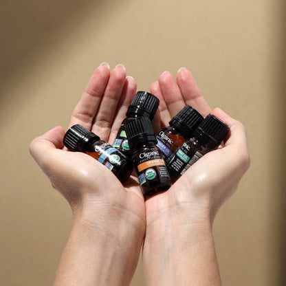 Cliganic Organic Geranium Essential Oil, 100% Pure Natural for Aromatherapy | Non-GMO Verified (Packaging May Vary)