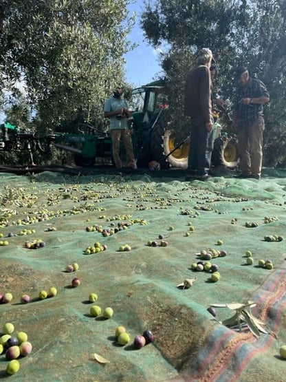 Extra Virgin Olive Oil - Santa Maria Portuguese Vintage Metal Tin - 200ml. This is a brand with almost 100 Years. (1)