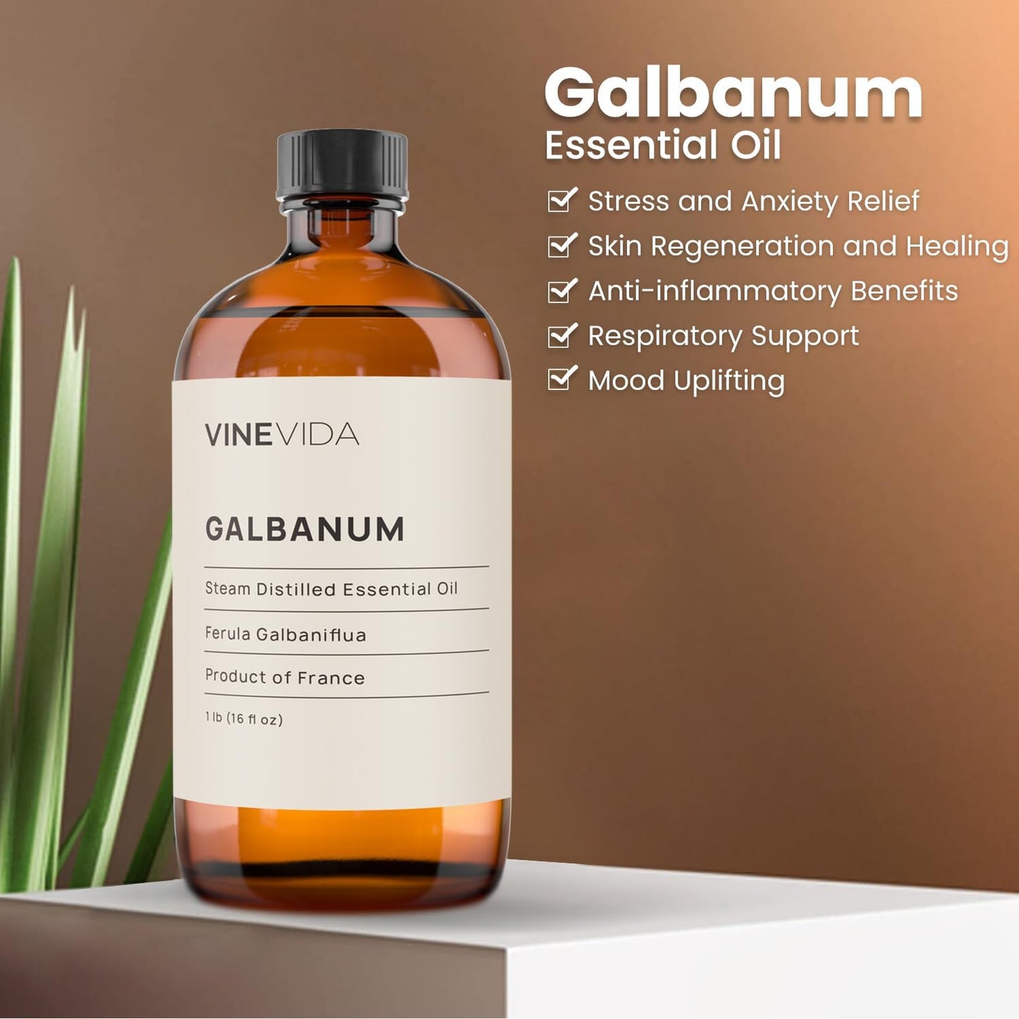 VINEVIDA Galbanum Essential Oil 16 oz - Undiluted, DIY Candle Scents, Bulk for Soap Making & Skin Safe